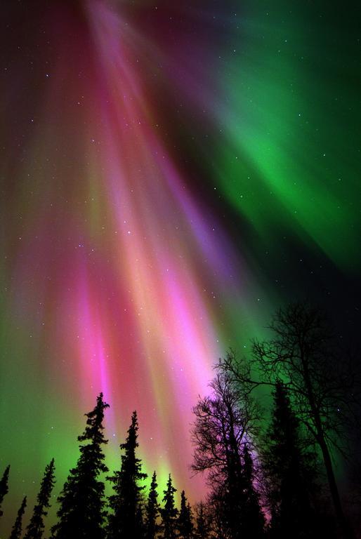 Lapland Northern Lights Hotel Ilveslinna Рануа Екстериор снимка