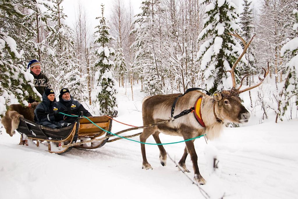 Lapland Northern Lights Hotel Ilveslinna Рануа Екстериор снимка