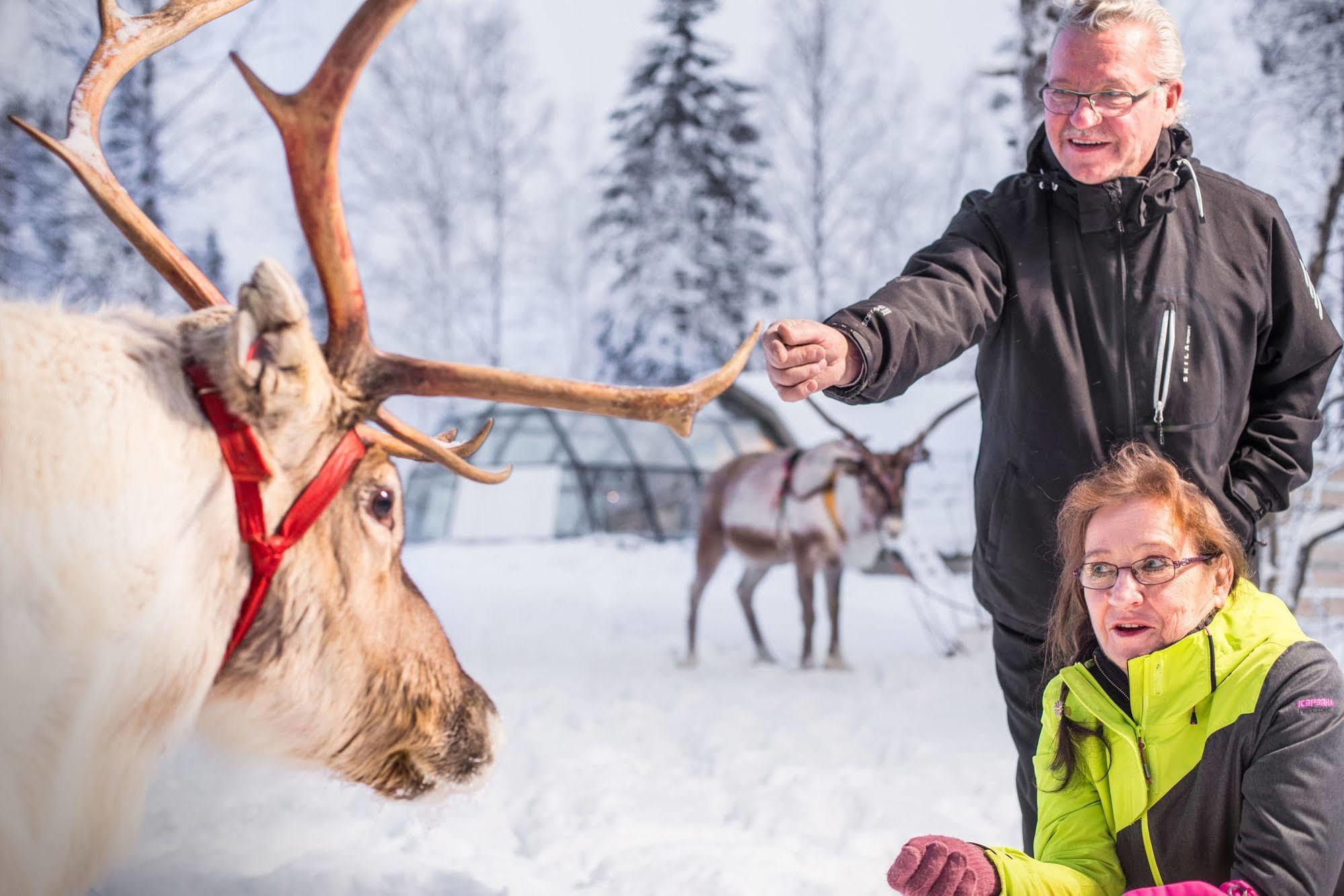Lapland Northern Lights Hotel Ilveslinna Рануа Екстериор снимка